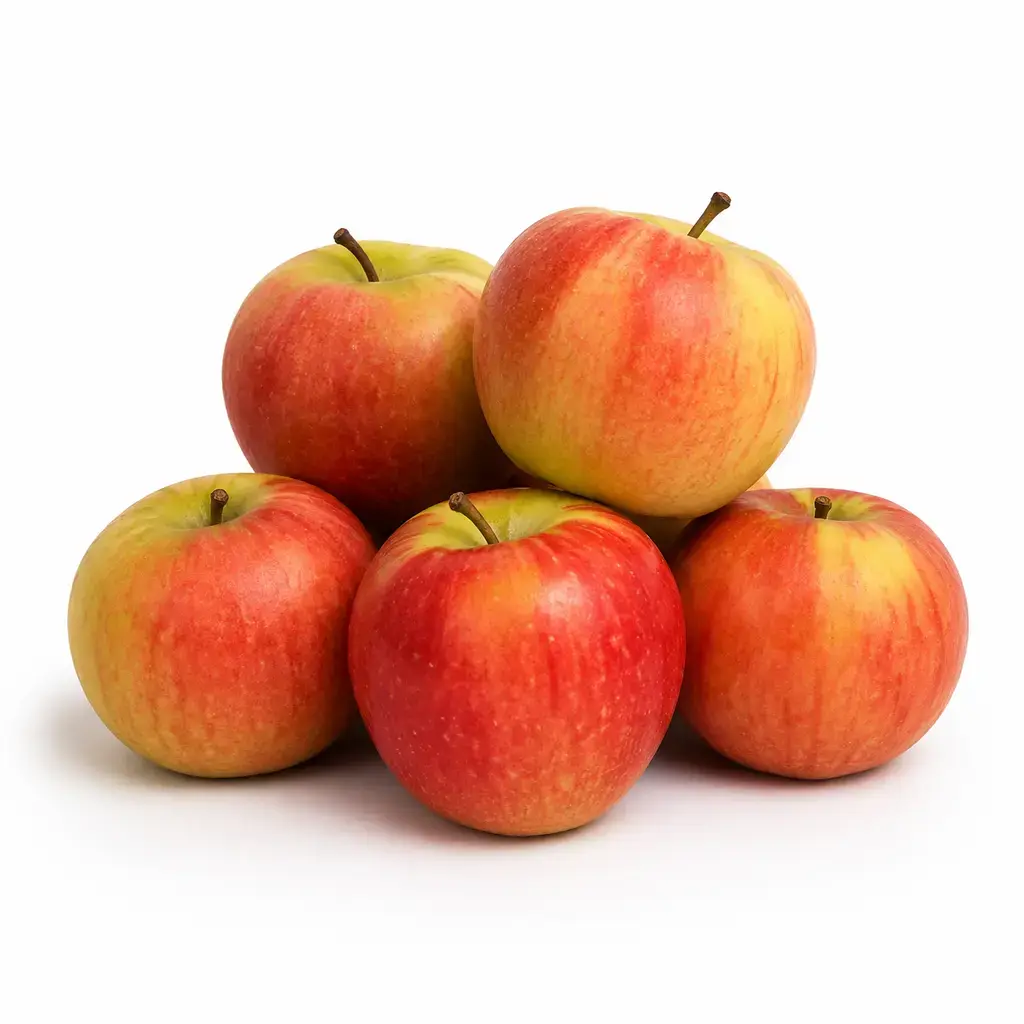 APPLE SHIMLA