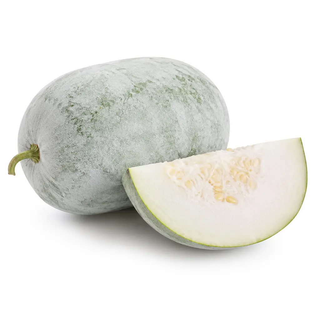 ASH GOURD