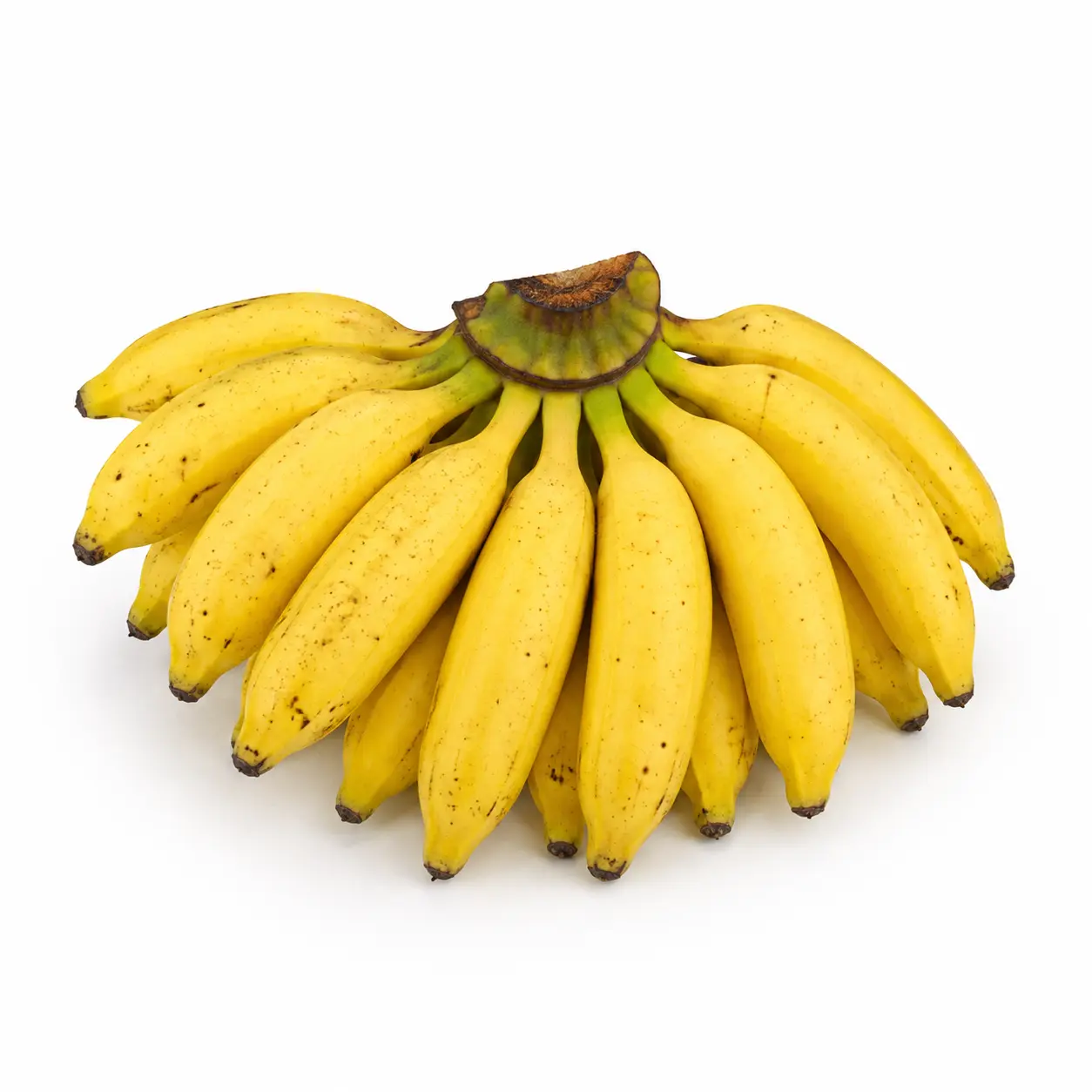 Fresh Banana Poovan (பூவன் வாழைப்பழம்)