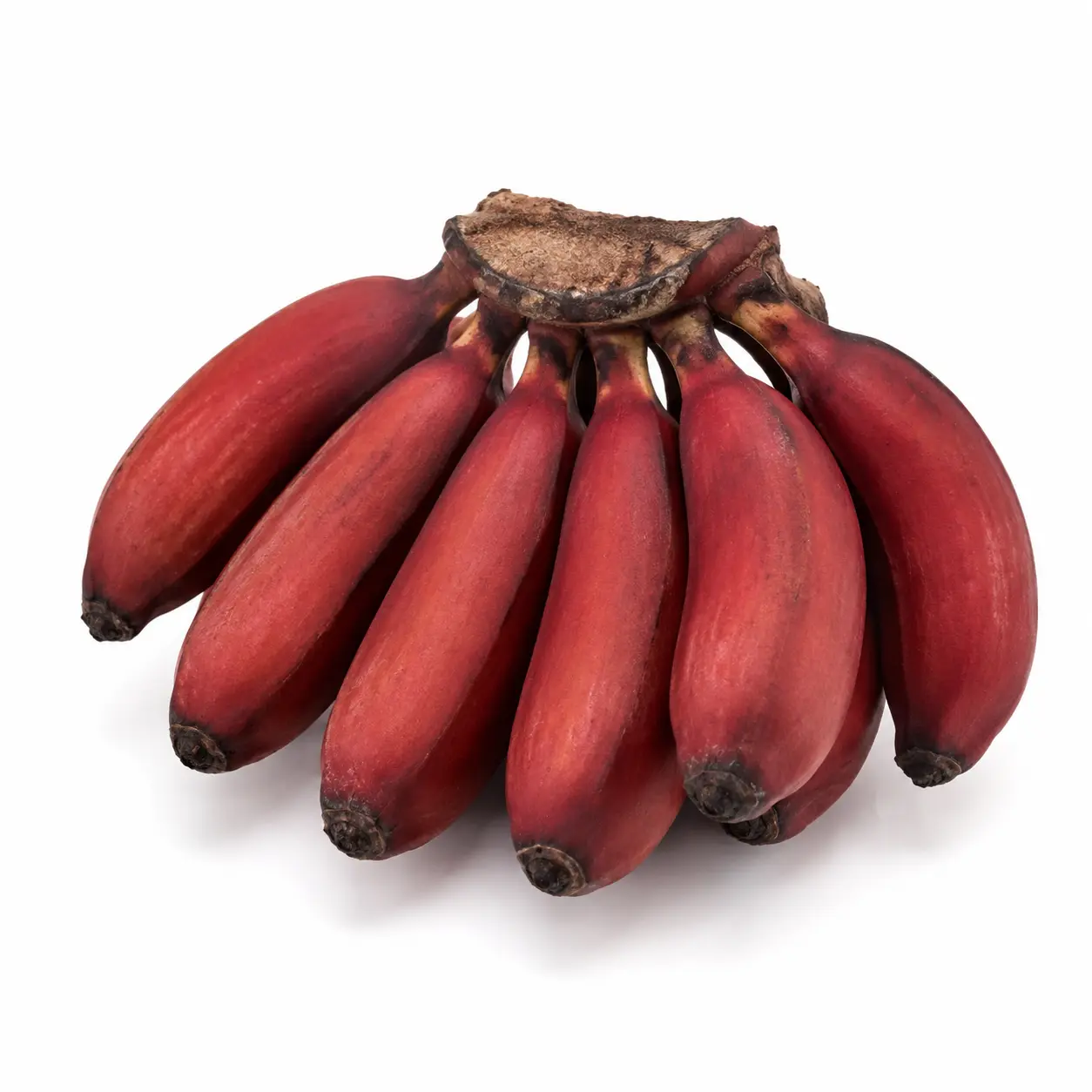 Fresh Banana Red (செவ்வாழைப்பழம்)