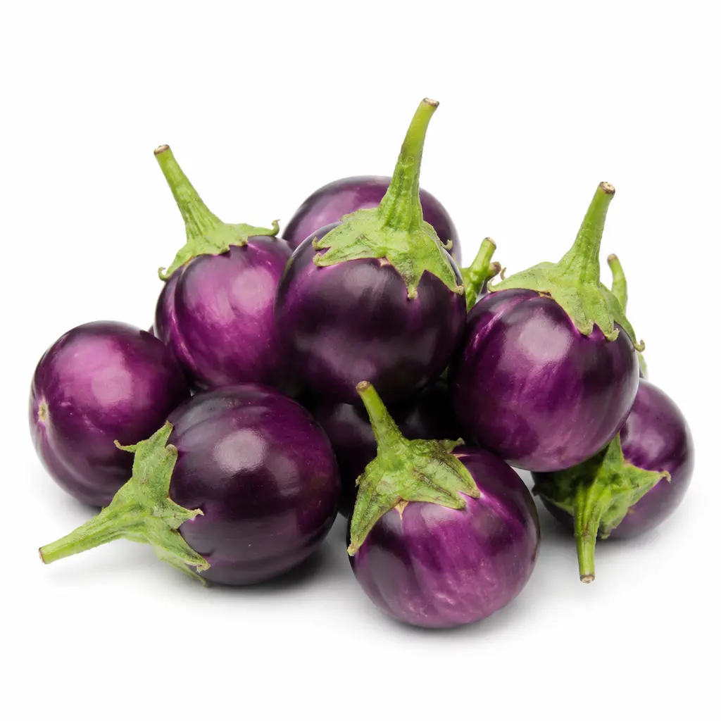 BRINJAL DISCO