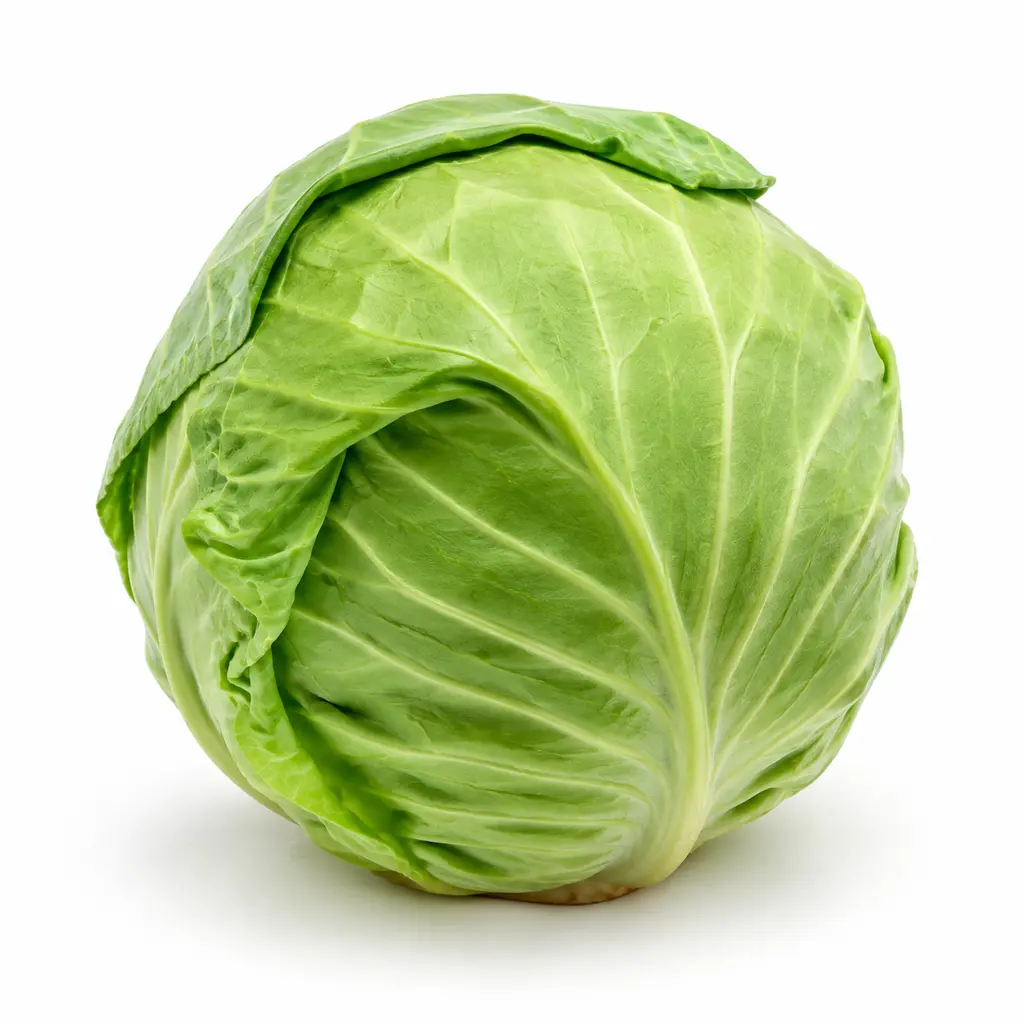 Fresh Cabbage (முட்டைக்கோஸ்)
