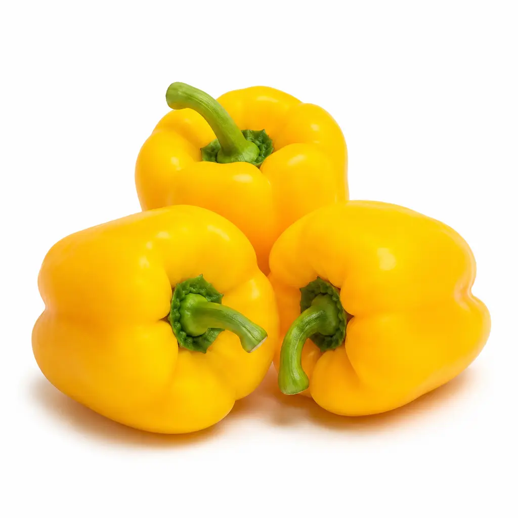 CAPSICUM YELLOW
