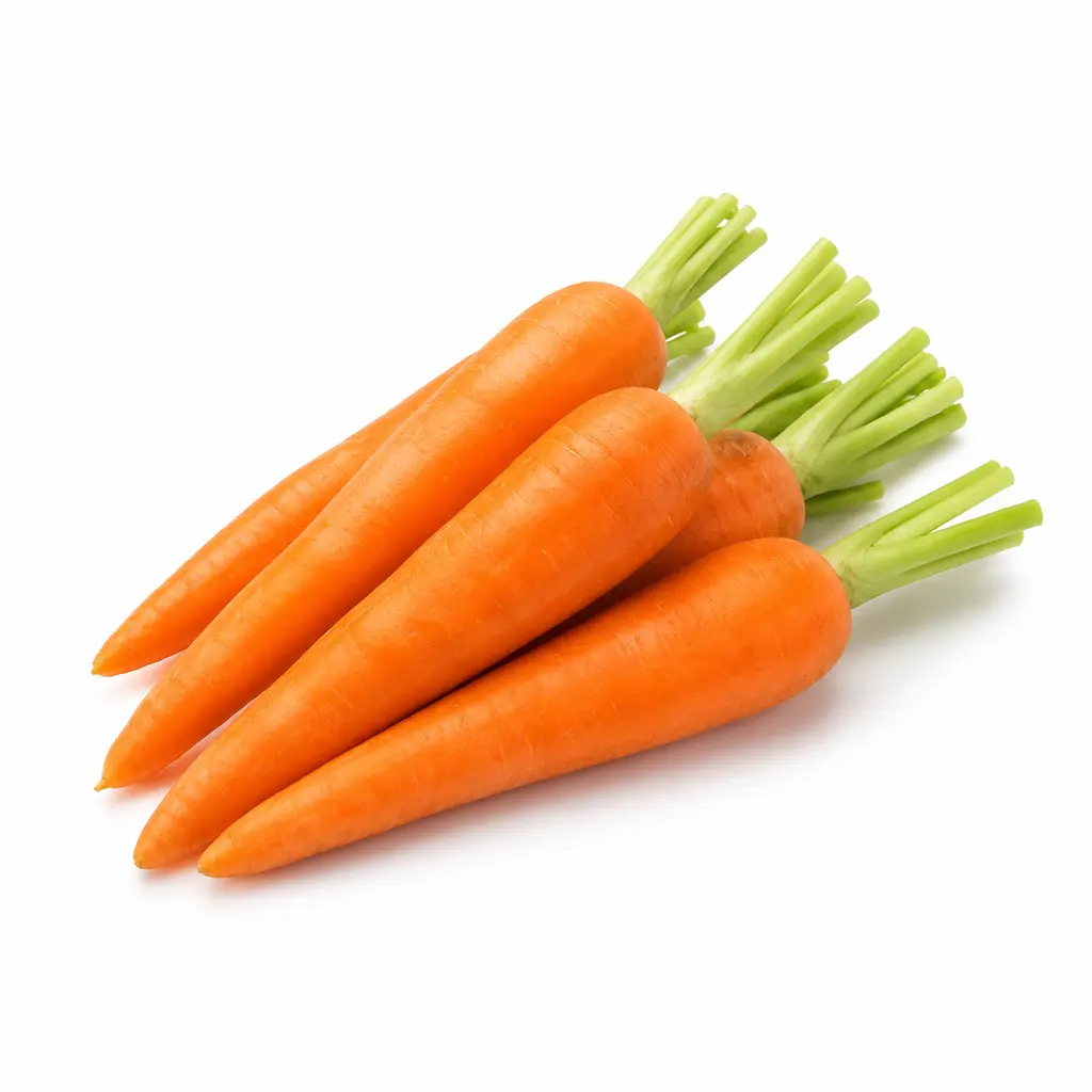 CARROT OOTY