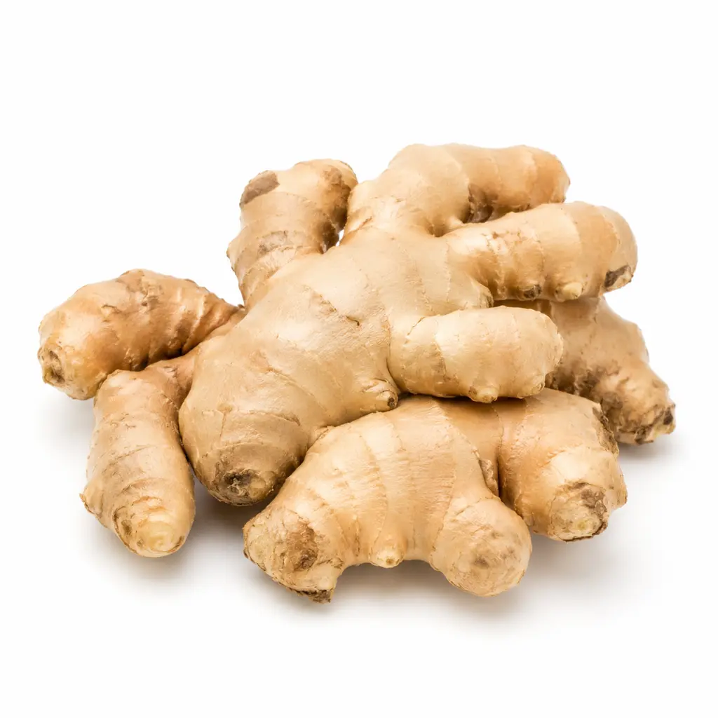 GINGER