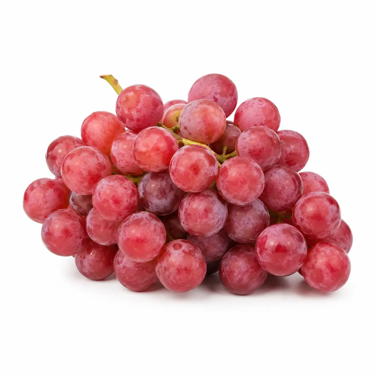 GRAPES RED GLOBE