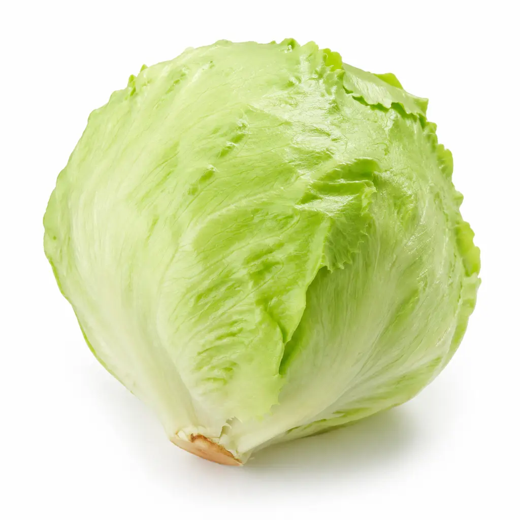 Fresh Iceberg Lettuce (ஐஸ்பெர்க் லெட்டூஸ்)