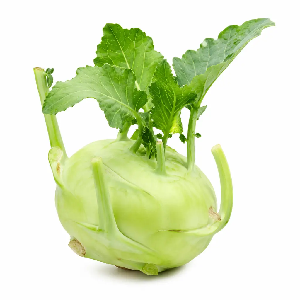 Fresh Knol Khol (நூல்கோல்)