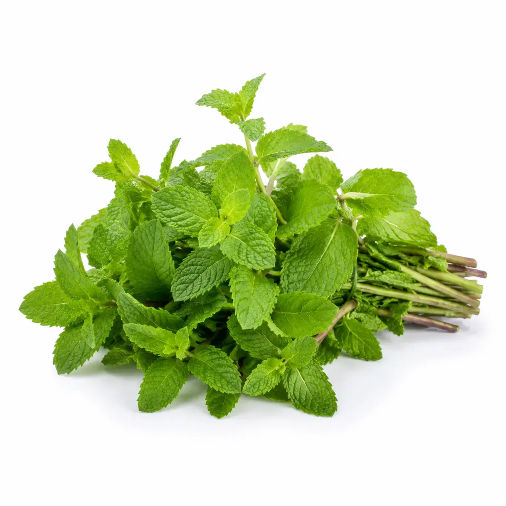 Fresh Mint Leaves (புதினா இலை)