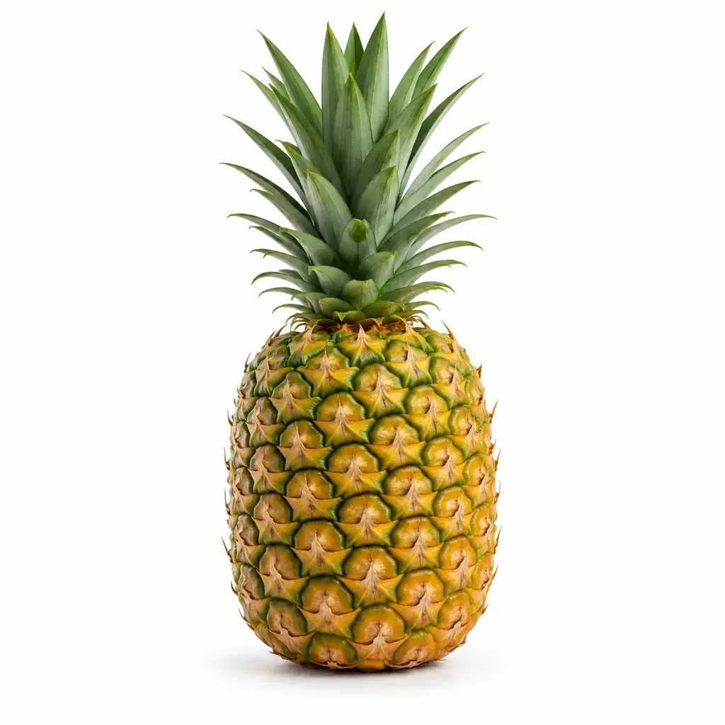 Fresh Pineapple (அன்னாசிப்பழம்)