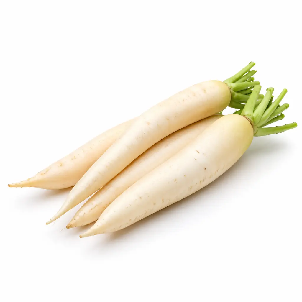 Fresh Radish White (வெள்ளை முள்ளங்கி)