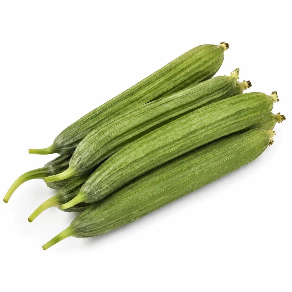 RIDGE GOURD