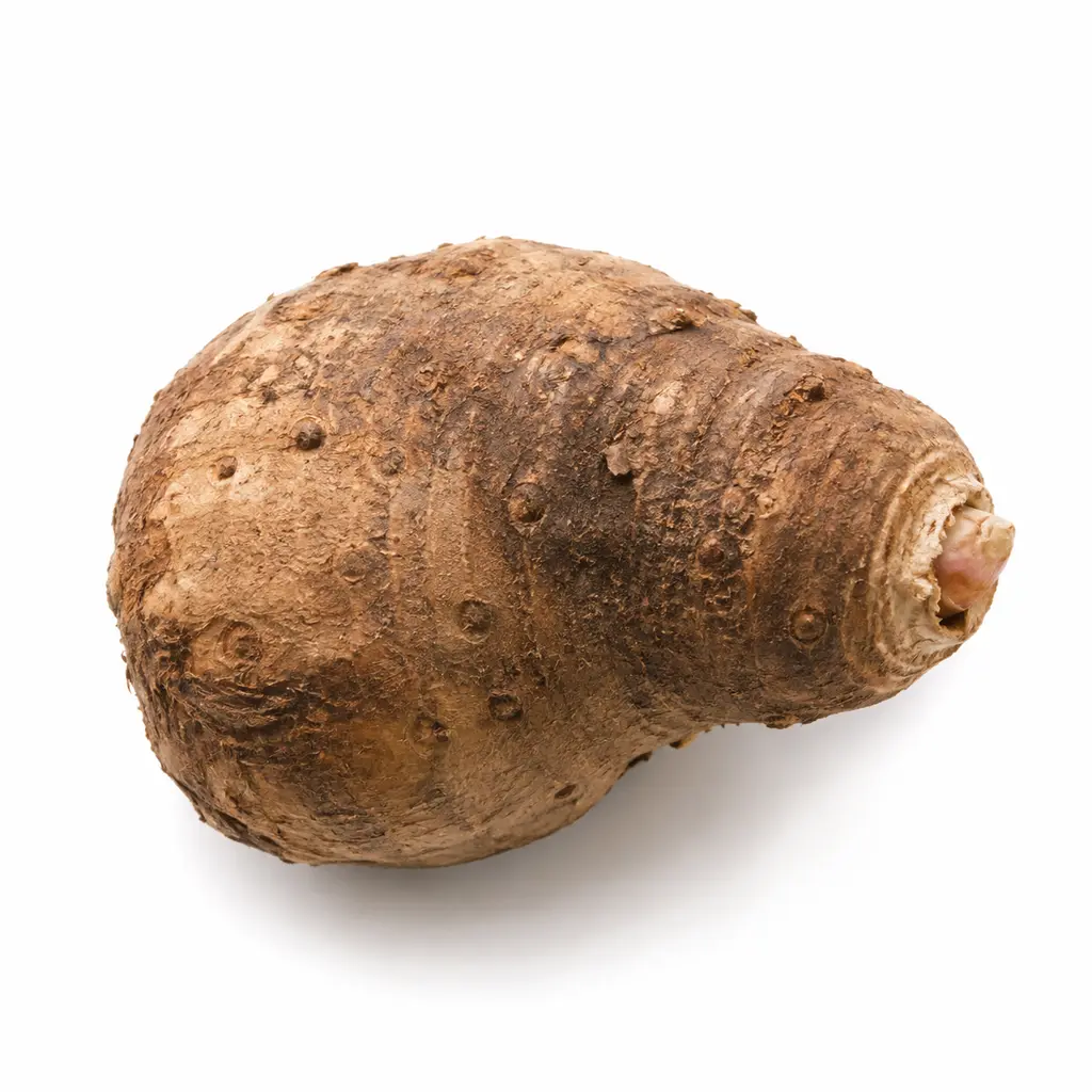 SENAI YAM
